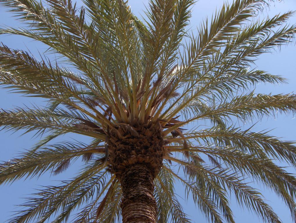 Le Jardin Des Epices Hotel Taroudant Exterior photo